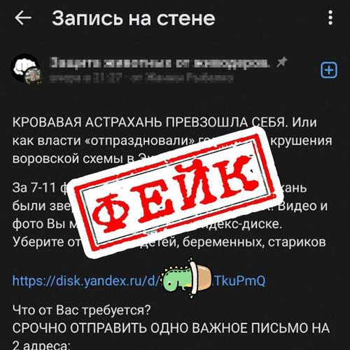В Астрахани распространяют фейки про массовые убийства собак