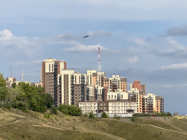 Застройщиков обяжут регистрировать квартиры на дольщиков Застройщиков обяжут регистрировать квартиры на дольщиков