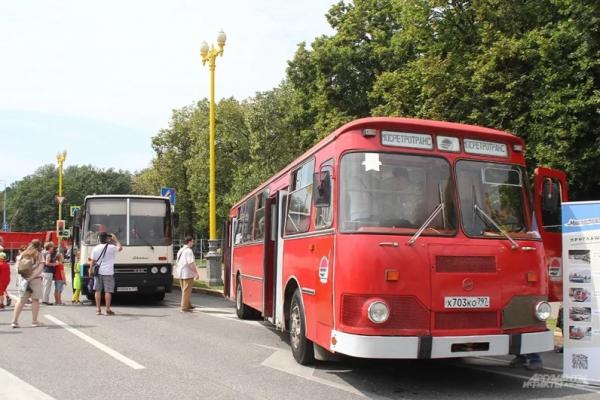 Раритеты из металлолома. В Москве показали лучшие старинные автомобили
Раритеты из металлолома. В Москве показали лучшие старинные автомобили