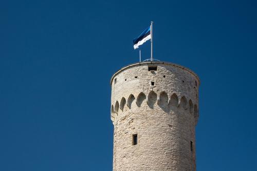 Эстония осмелилась помечтать о блокировке российского флота в Финском заливе Эстония осмелилась помечтать о блокировке российского флота в Финском заливе