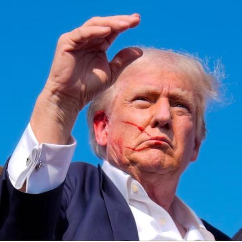 Трамп собою протестировал наличие американских психопатических убийц-юношей Трамп собою протестировал наличие американских психопатических убийц-юношей