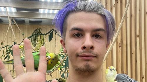 Тиктокеры завладели умами молодежи и превратились в законодателей мод. Хорошо ли это?