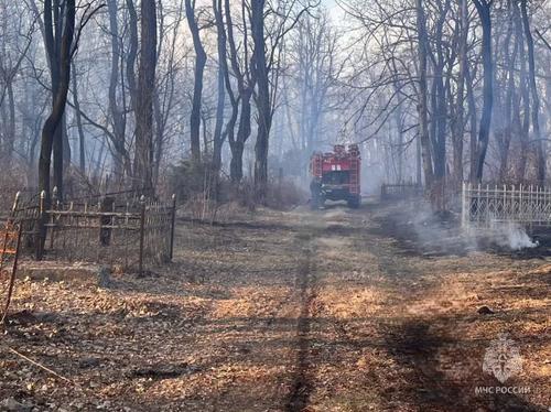 Во Владикавказе бушующему в районе Госпитального кладбища пожару присвоен повышенный ранг сложности