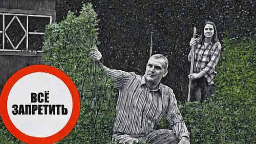 Теперь решили &laquo;прижать дачников&raquo;. В России хотят запретить сдавать дачи и продавать с них урожай?
