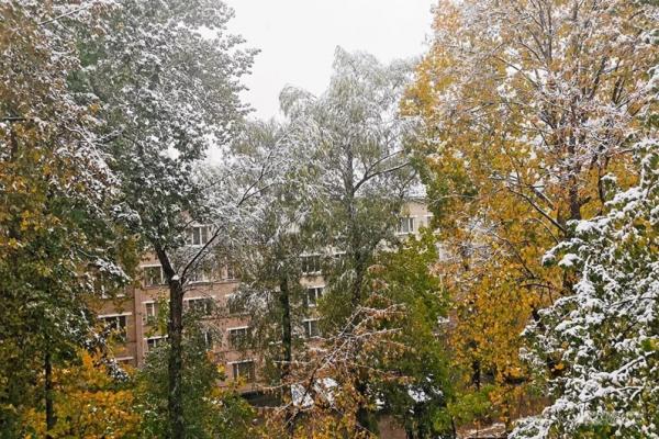 
        Песок опаснее? Этого вы точно не знали про противогололедные реагенты    